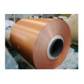 Prepainted Aluminium/Aluminum Coil with High Reflectivity